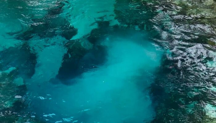 Tanpa Kontribusi Pengembangan Wisata, Pemkab Simalungun Tiba-tiba Pungut Retribusi bagi Pengunjung Sungai Lobang