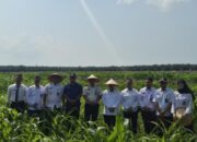 Dirpamintel Ditjenpas Tinjau Ketahanan Pangan Di Air Joman Dan Monev Lapas Labuhan Ruku