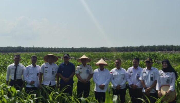 Dirpamintel Ditjenpas Tinjau Ketahanan Pangan Di Air Joman Dan Monev Lapas Labuhan Ruku