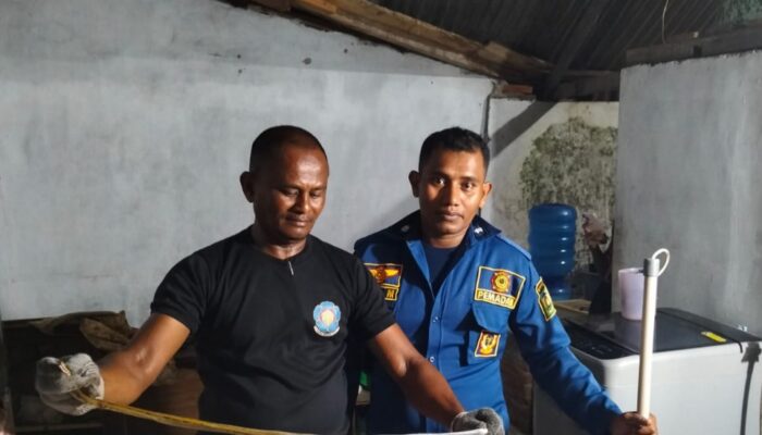 Dua Ular Dievakuasi Dari Rumah Warga