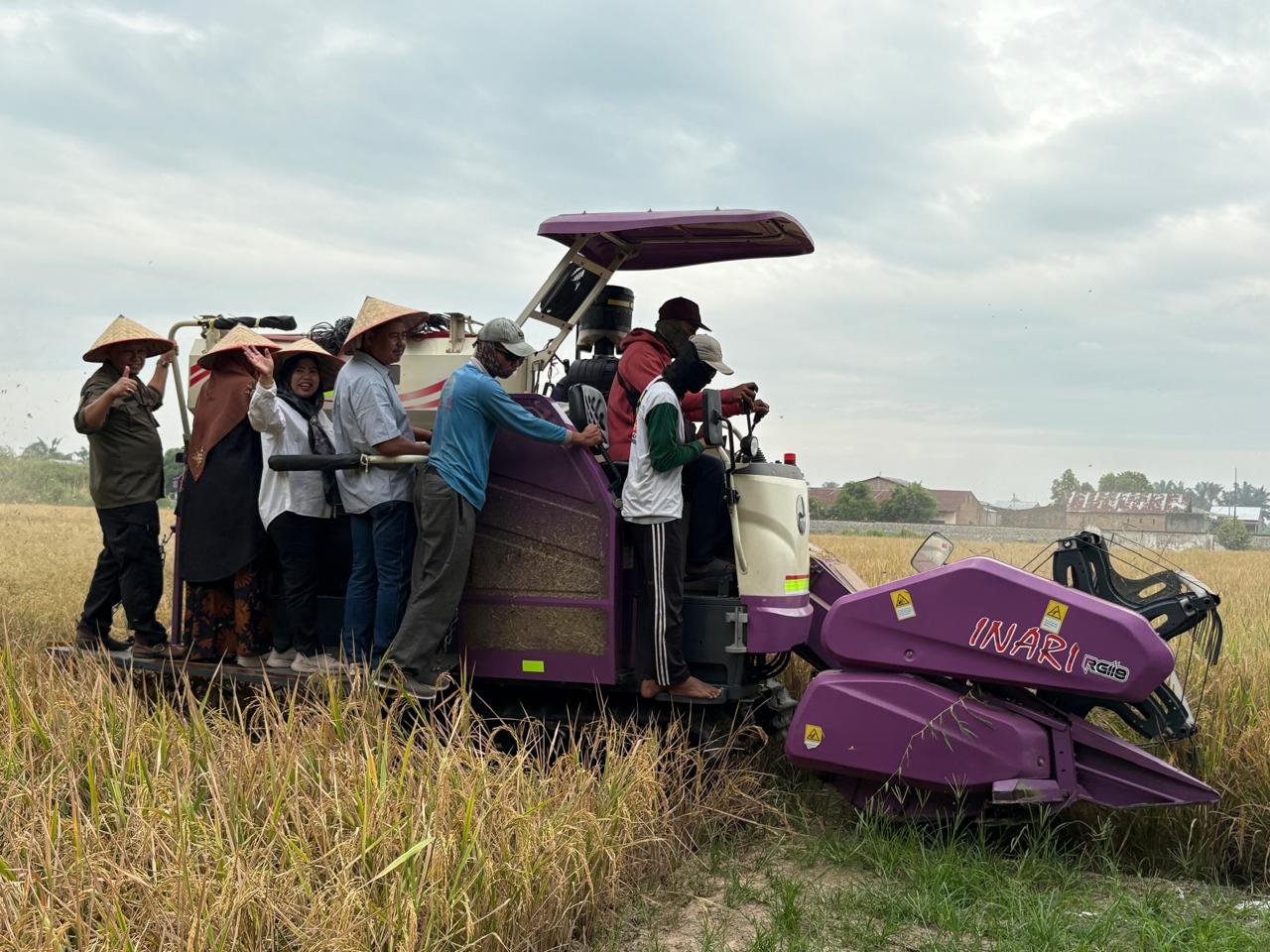 Polbangtan Kementan Gelar Panen Bersama Di Lahan TeFa, Dukung Swasembada Pangan