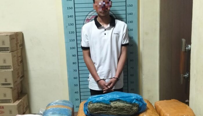 17,80 Kg Ganja Diamankan Polres Aceh Tenggara, Pelaku Berusia 21 Tahun