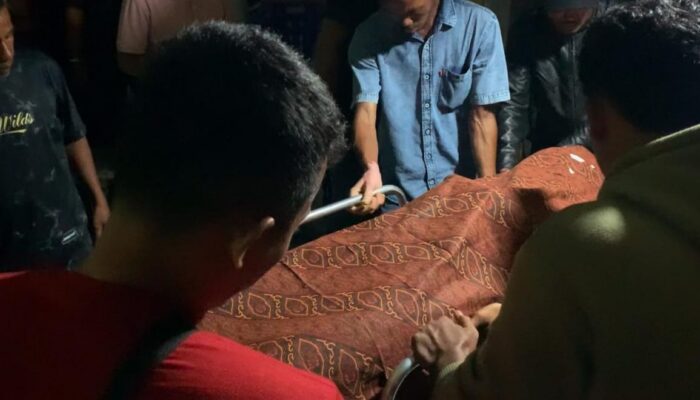 Truk Pengangkut Bijih Besi Renggut Nyawa di Abdya, Jurnalis Dihadang