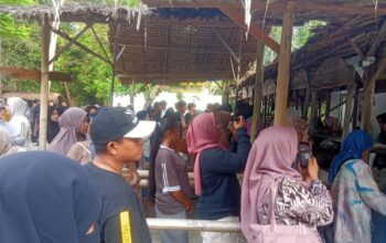 Kembali Dibuka, Seribuan Pengunjung Padati Wisata Kuliner Pasar Kamu