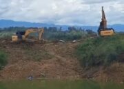 PETI Kembali Marak di Linggabayu