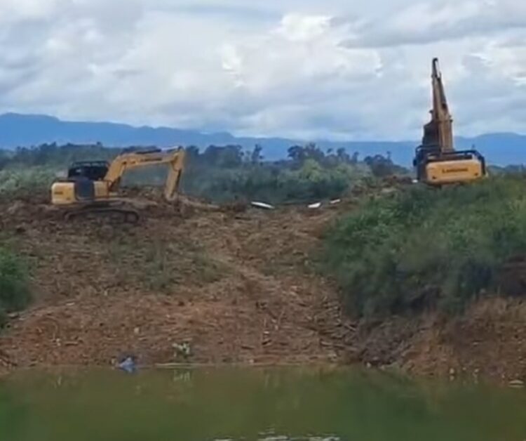 PETI Kembali Marak di Linggabayu