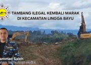 Tambang Ilegal Lingga Bayu Kembali Beroperasi, Satma AMPI Madina: Aparat Jangan Tutup Mata