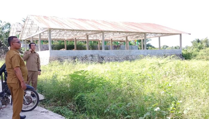 PUPR Abdya Sulap Lahan Kosong Jadi Lumbung Hortikultura