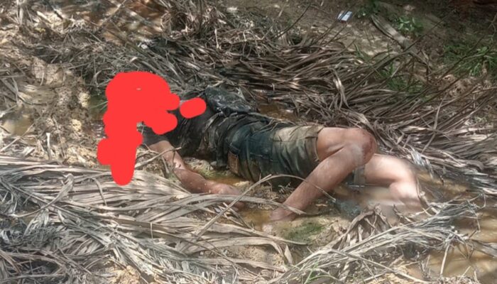 Mayat Laki-laki Dewasa Ditemukan di Jalan Kebun Sawit Alue Bata