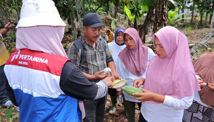 Ragam Program CSR PHE NSO: Dari Beasiswa Hingga Tanggap Bencana