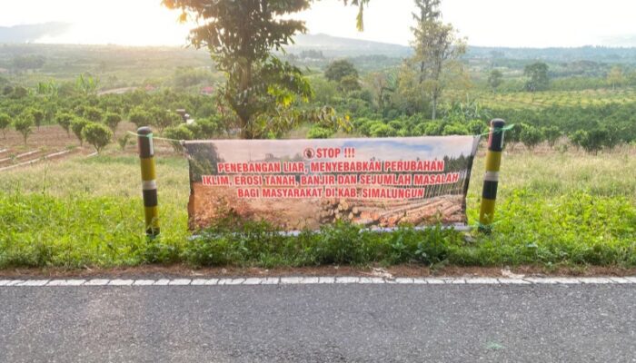 Ilegal Logging Di Simalungun Marak, Warga Bentang Spanduk
