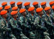 Antisipasi Perang Timur Tengah, TNI Siaga 1