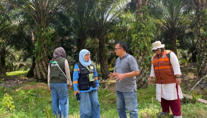 Mangalame, Tradisi Kearifan Lokal Masyarakat Tapanuli Selatan