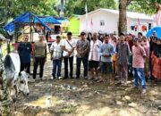 Gubernur Bobby Nasution Salurkan 10 Ekor Sapi Untuk Korban Bencana Di Tapsel Dan Tapteng Jelang Lebaran