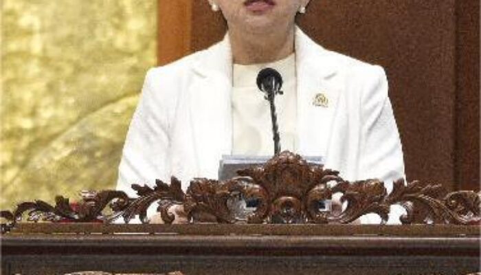 DPR RI Perkuat Diplomasi Parlemen Di Tengah Ketegangan Global