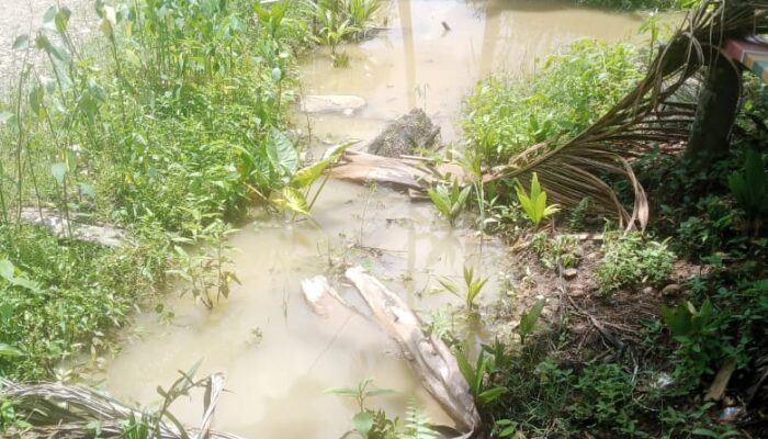 Sianida Meluap, Pencemaran Lingkungan di Abdya Mengkhawatirkan