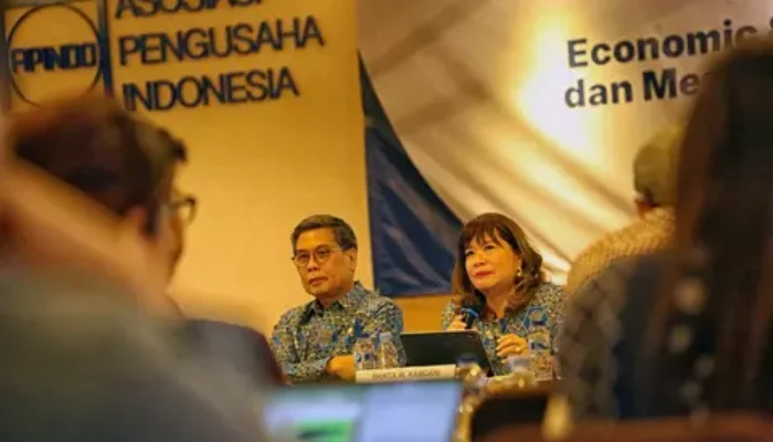 Apindo Dorong RUU Ketenagakerjaan Seimbang Bagi Pengusaha Dan Pekerja