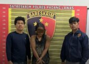 Curi Sawit, Satu Tertangkap Satu Lagi Masih Buron