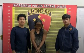 Curi Sawit, Satu Tertangkap Satu Lagi Masih Buron