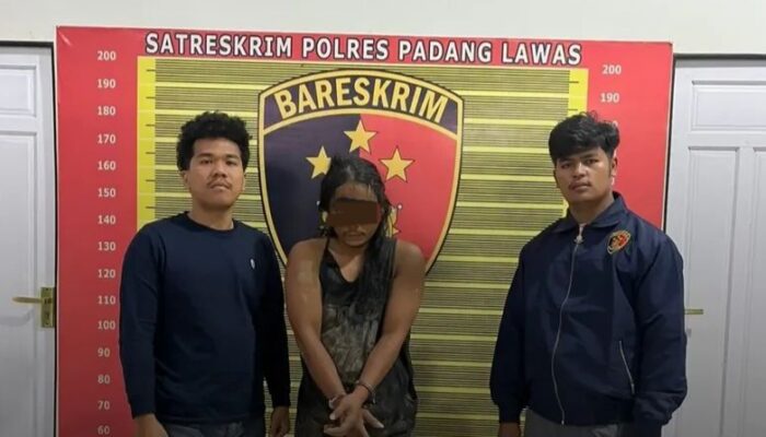 Curi Sawit, Satu Tertangkap Satu Lagi Masih Buron