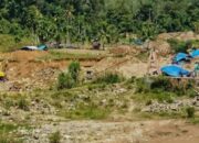 Kades Jambur Baru Diduga Korupsi Dana Desa dan Terlibat PETI di Batang Natal