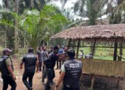 Polres Binjai Gerebek Barak Narkoba di Selesai, Bangunan Dibakar Habis