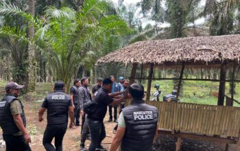 Polres Binjai Gerebek Barak Narkoba di Selesai, Bangunan Dibakar Habis