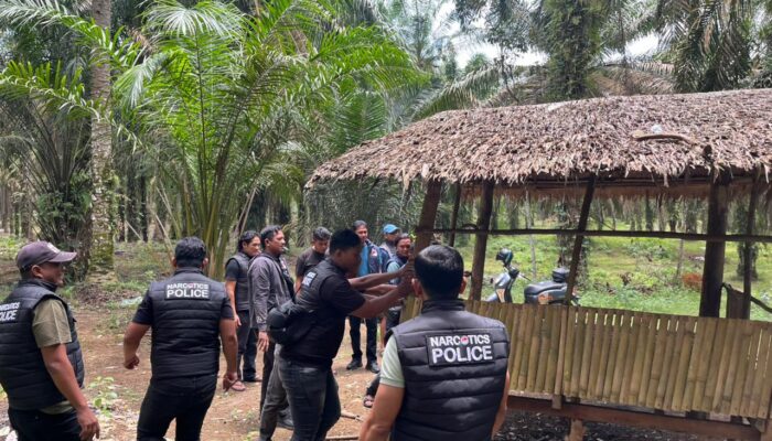 Polres Binjai Gerebek Barak Narkoba di Selesai, Bangunan Dibakar Habis