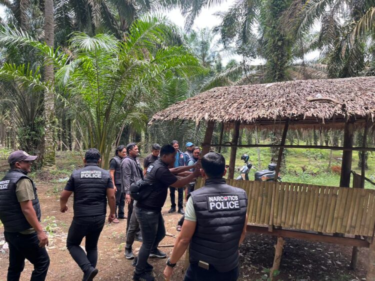 Polres Binjai Gerebek Barak Narkoba di Selesai, Bangunan Dibakar Habis