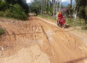 Warga Kecewa PUPR Agara Abaikan Perawatan Jalan Mbarung-Rambung Teldak