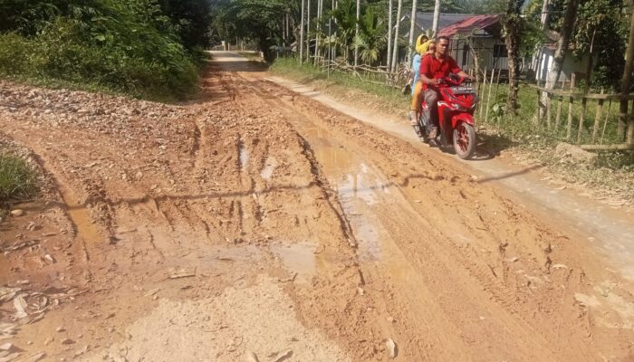 Warga Kecewa PUPR Agara Abaikan Perawatan Jalan Mbarung-Rambung Teldak