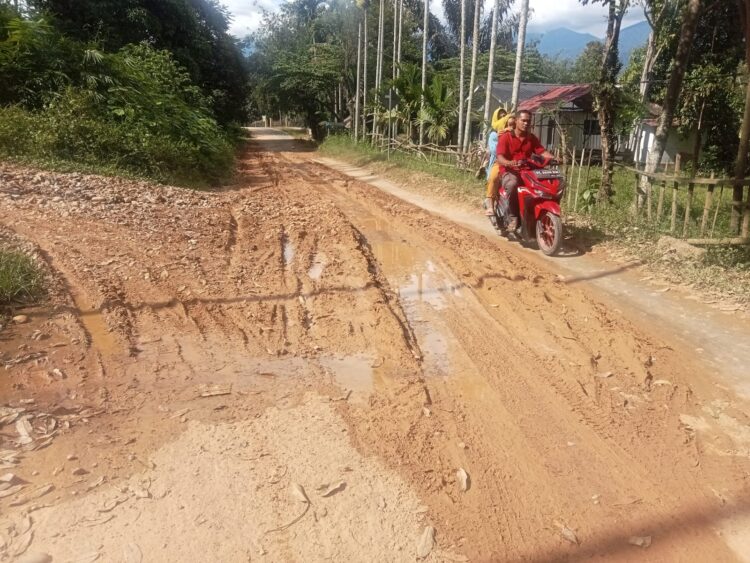 Warga Kecewa PUPR Agara Abaikan Perawatan Jalan Mbarung-Rambung Teldak
