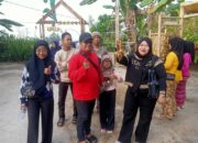 Pasar Kamu Bagikan 1.000 Ketupat Gratis saat Lebaran Ketupat