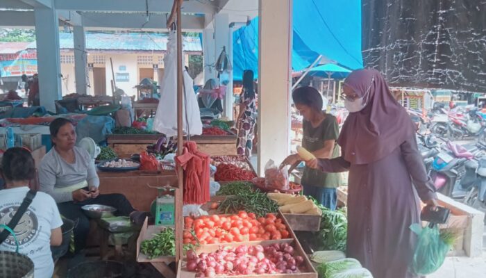 Harga Bahan Pokok di Pasar Bakaran Batu Lubukpakam Mengalami Fluktuasi