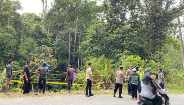 Rawan Kecelakaan, Apkasindo Desak Pemerintah Perlebar Jalan Nasional Subulussalam-Pakpak Bharat