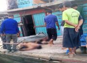 KM Indah Sakti Terbakar Di Belawan, 3 Tewas, 13 Nelayan Diselamatkan