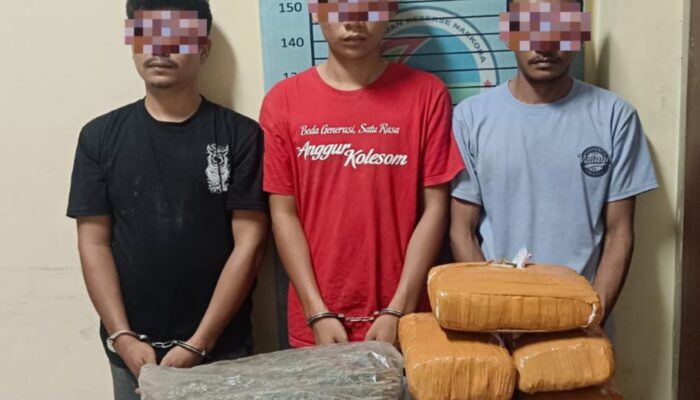 Gagalkan Peredaran Ganja 11 Kg, Polres Agara Amankan 3 Pria