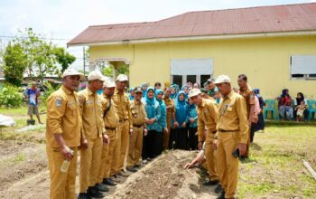 TP-PKK Kota Binjai Dukung Ketahanan Pangan Keluarga Melalui Penanaman Bibit Sayur