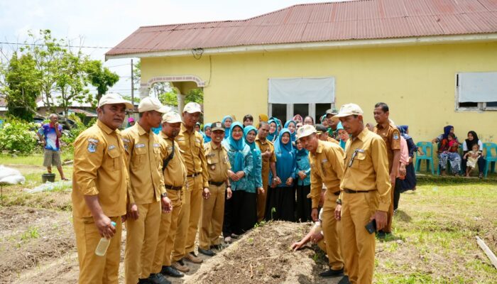 TP-PKK Kota Binjai Dukung Ketahanan Pangan Keluarga Melalui Penanaman Bibit Sayur