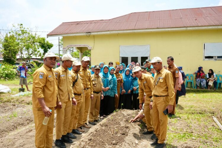 TP-PKK Kota Binjai Dukung Ketahanan Pangan Keluarga Melalui Penanaman Bibit Sayur