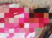 Kasus Pembunuhan di Runding, Polres Madina Tetapkan 6 Tersangka