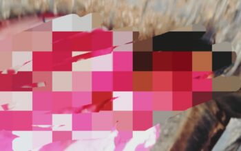 Kasus Pembunuhan di Runding, Polres Madina Tetapkan 6 Tersangka