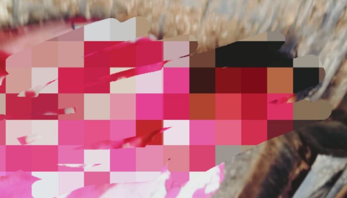 Kasus Pembunuhan di Runding, Polres Madina Tetapkan 6 Tersangka