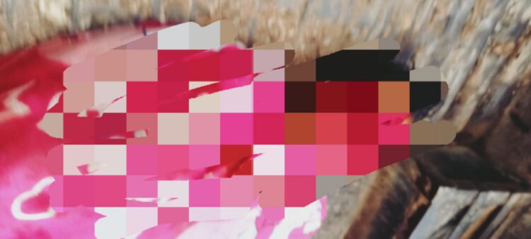 Kasus Pembunuhan di Runding, Polres Madina Tetapkan 6 Tersangka