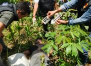 Mayat Pedagang Keliling Ditemukan di Areal TPU Sialogo Tapsel