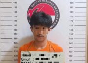 Polres Labuhanbatu Ciduk Pengedar Di Penginapan