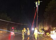 Cuaca Ekstrem Picu Gangguan Listrik, PLN Gerak Cepat Pulihkan Pasokan Di Parapat