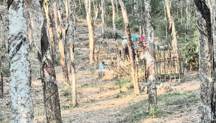 Mantan Bupati Madina Hibahkan 1 Hektare Tanah untuk Makam Warga