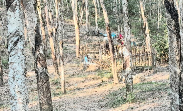 Mantan Bupati Madina Hibahkan 1 Hektare Tanah untuk Makam Warga