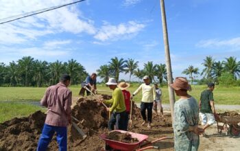 Warga Dusun IV Batang Siangi Gotong Royong Tinggikan Tanah Wakaf Perkuburan Muslim